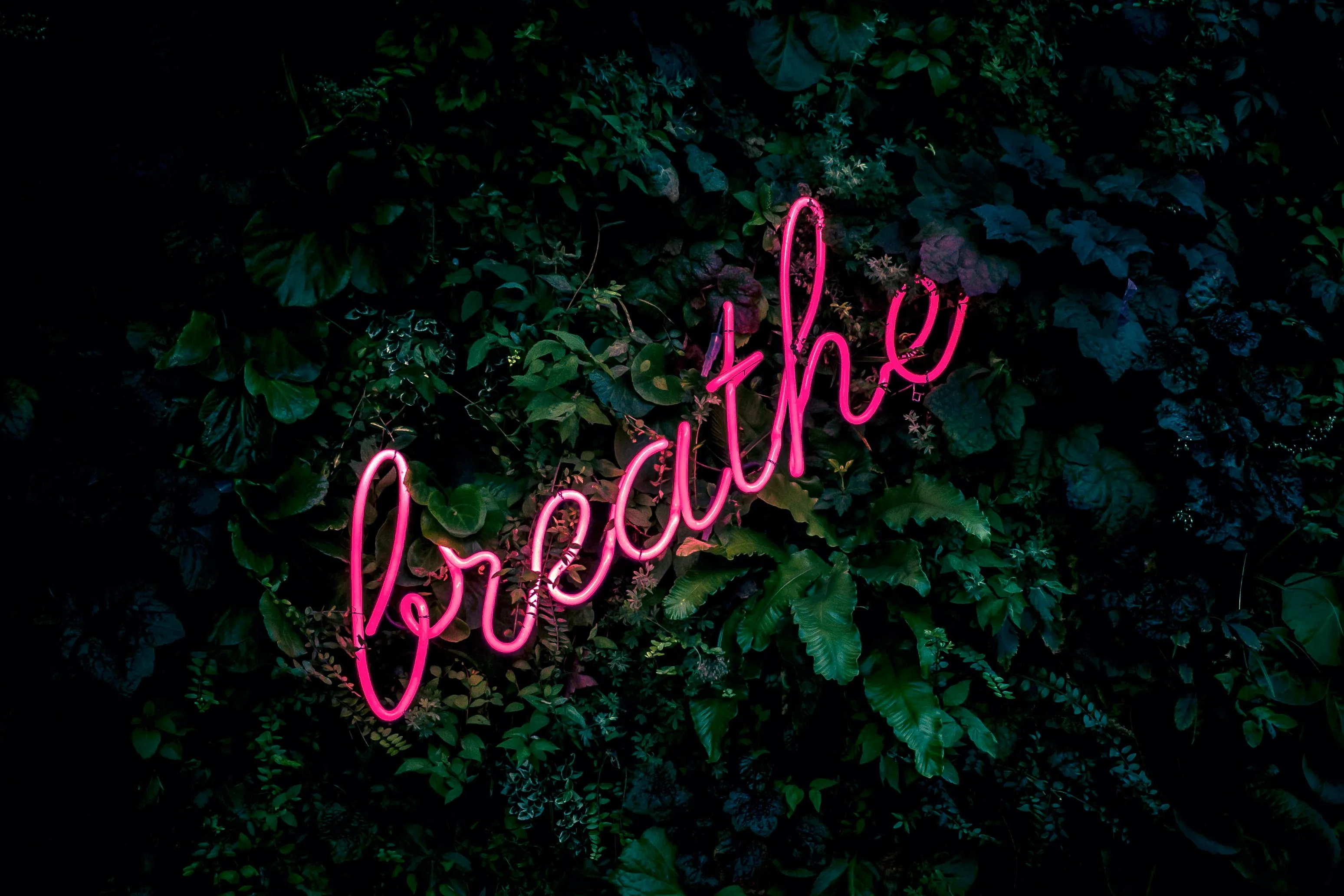 Neon Sign Breathe